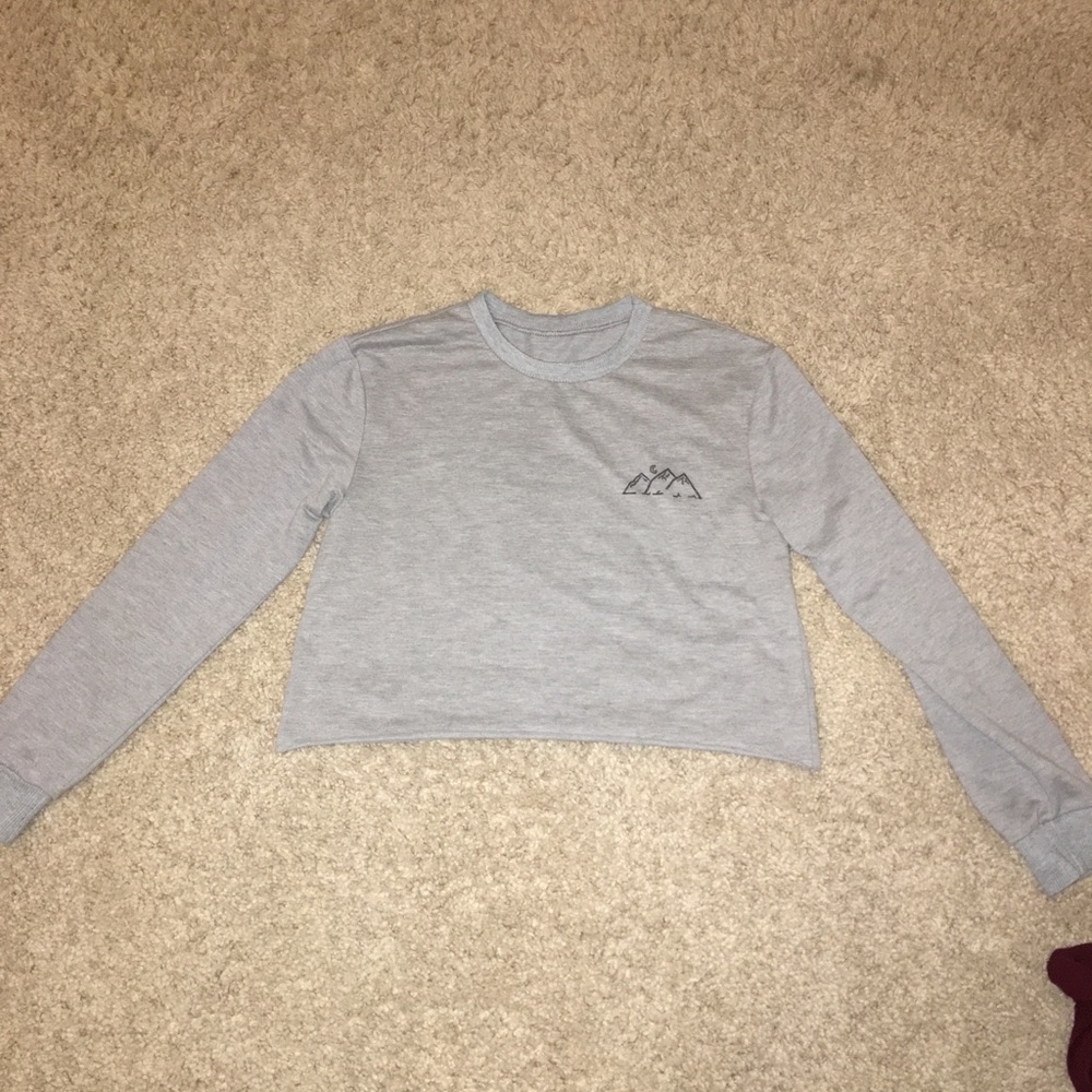 Long sleeve grey crop top w/ mountain detail